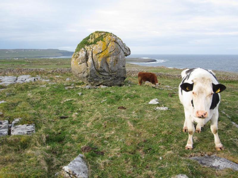 Lanelodge Doolin Village Eksteriør billede