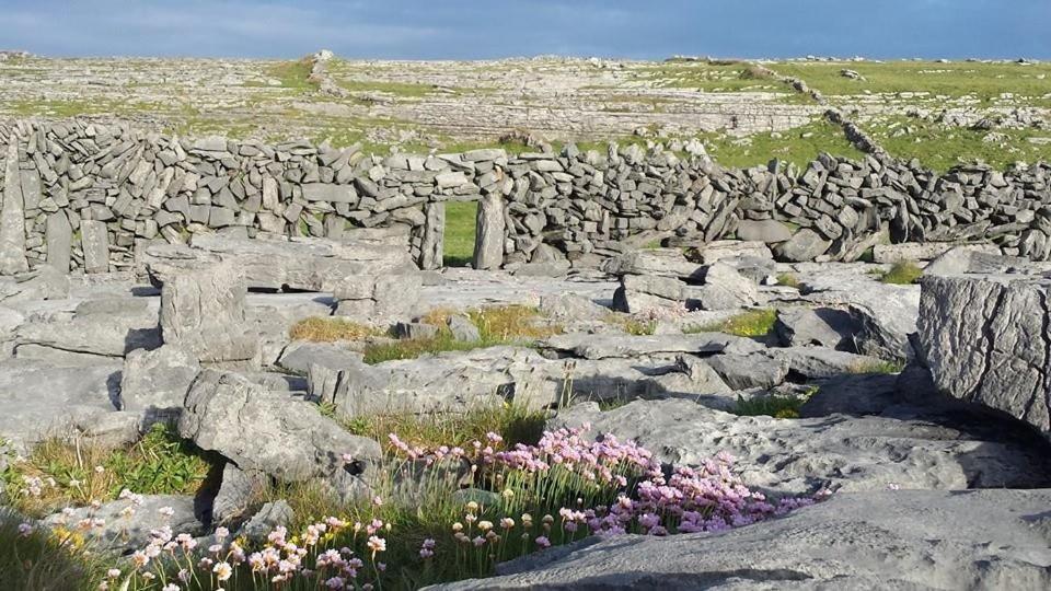 Lanelodge Doolin Village Eksteriør billede