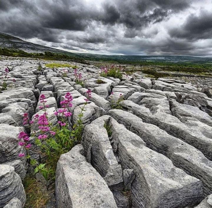 Lanelodge Doolin Village Eksteriør billede